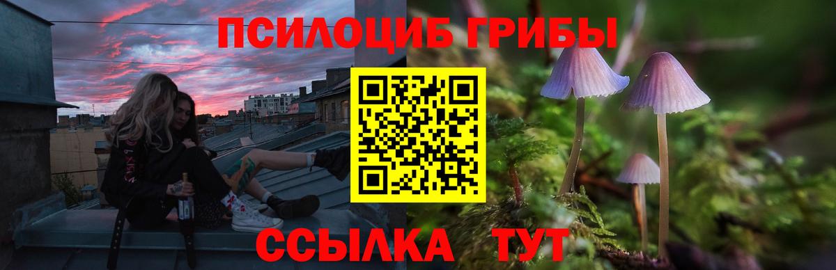 Железногорск  Галлюциногенные грибы прущие грибы  Вход с VPN 